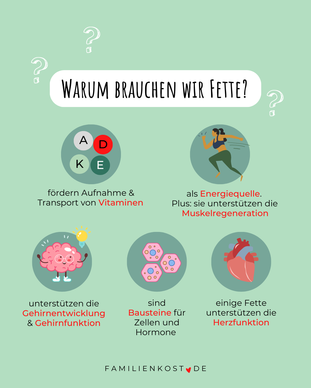 Warum brauchen wir Fett? Warum brauchen wir Fett?