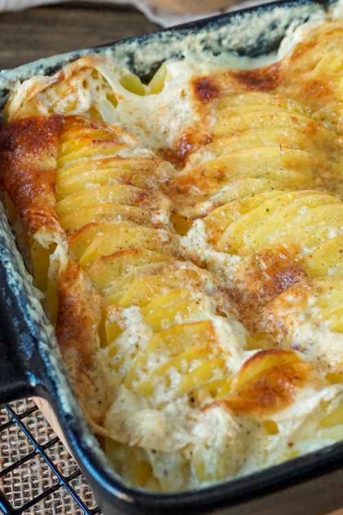 Kartoffelgratin mit Schmand Kartoffelgratin mit Schmand