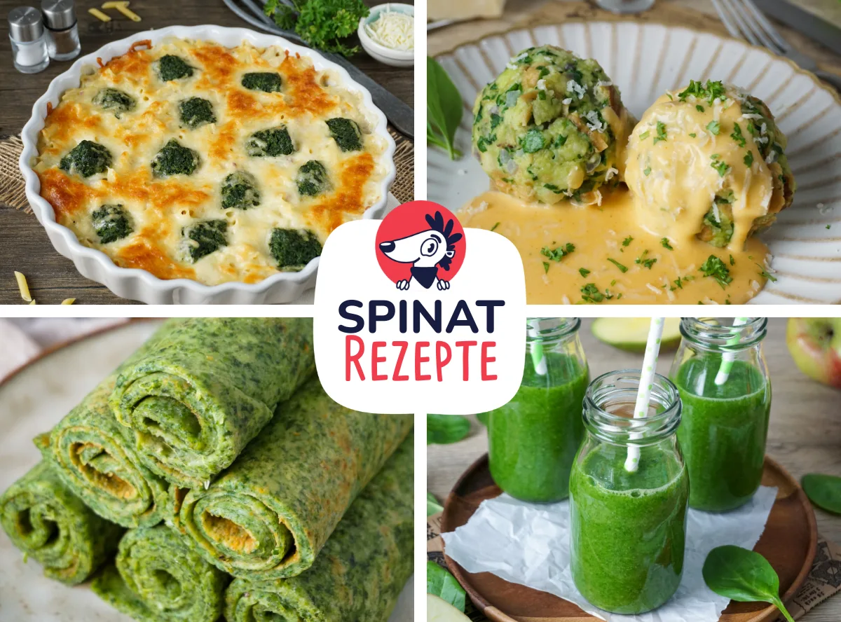 Spinat Rezepte
