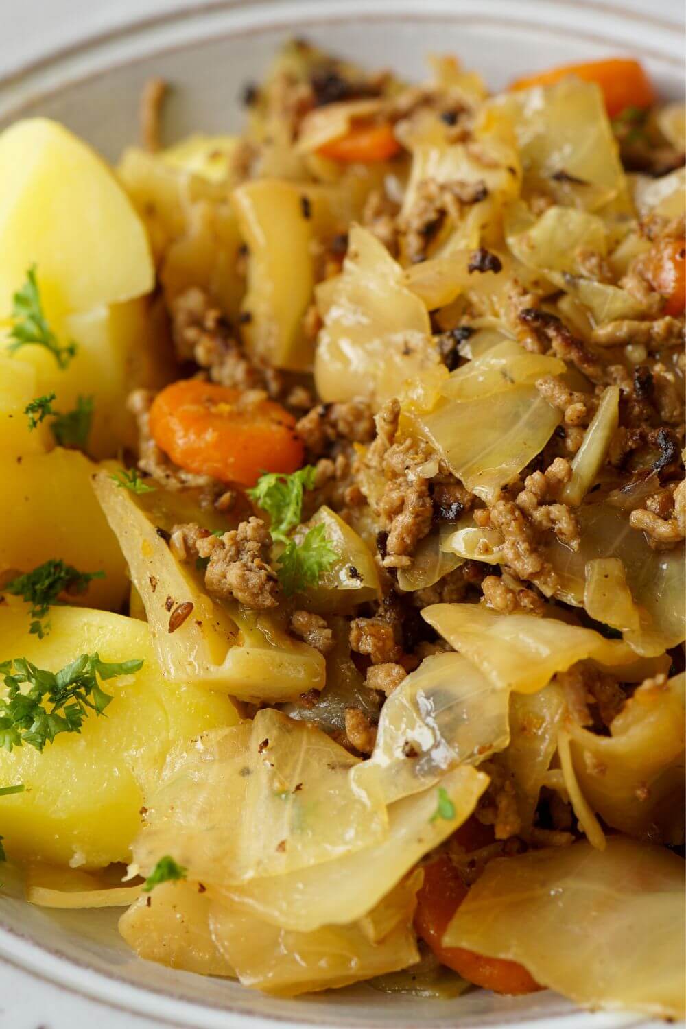 Spitzkohl Pfanne mit Hackfleisch Spitzkohl Pfanne mit Hackfleisch